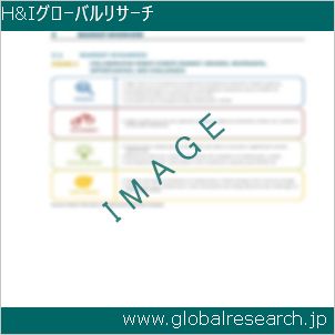 グローバルリサーチ調査レポートのイメージ